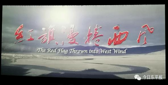 直卷发棒哪个品牌的质量好?博主推荐全网五大优质品牌